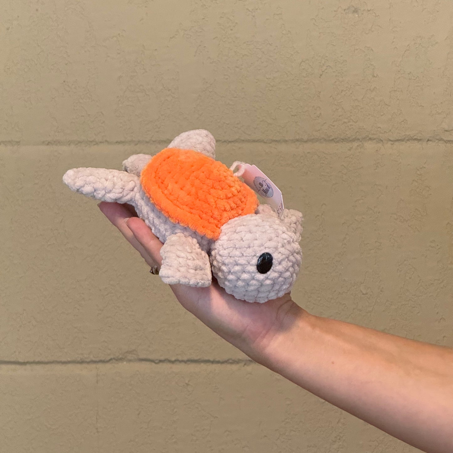 Sea Turtle Orange