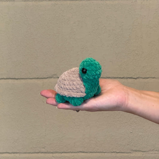 Turtle small
