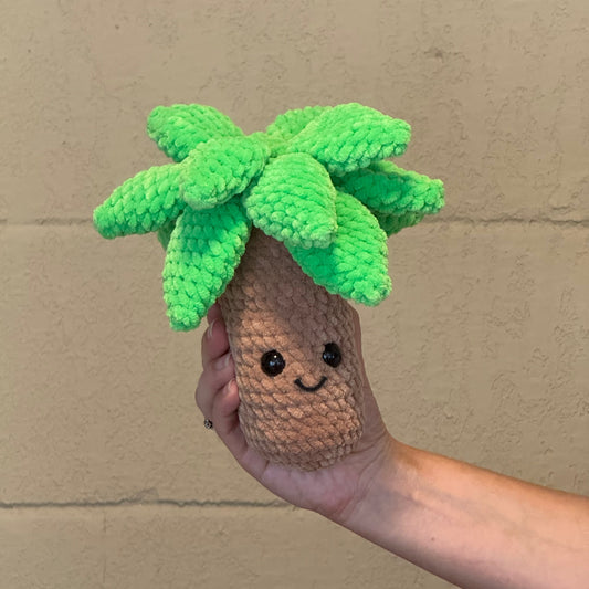 Palm Tree